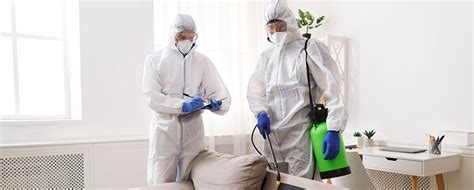 Disinfection Services And Deep Cleaning Pest Control 24 London