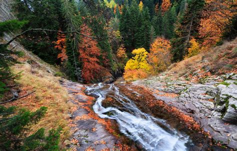 Wallpaper Autumn Stream Mountain Images For Desktop Section пейзажи