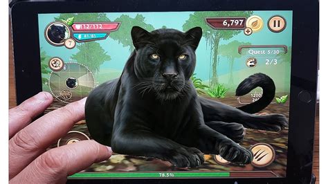 Wild Panther Sim 3d Lv6 Wildcraft Wildlife Animal Simulator Android