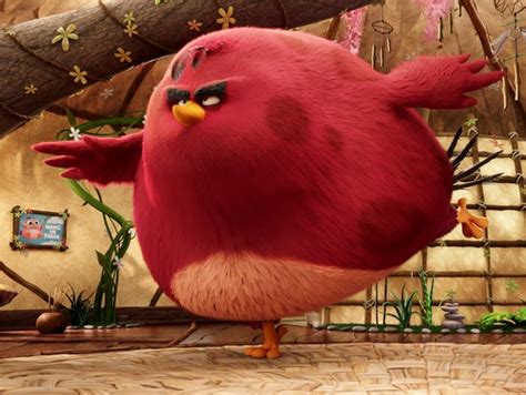 Terence Angry Birds Movie