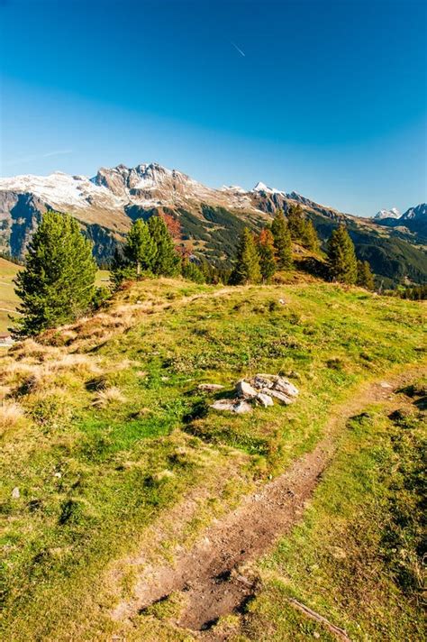 Hiking Trail In Swiss Alps Stock Photo Image Of Swiss 25580572