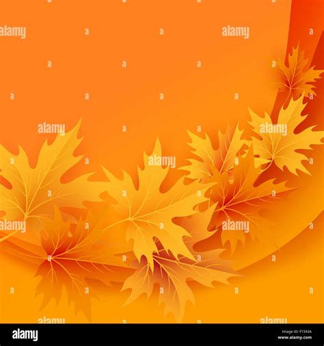 Autumn Maples Falling Leaves Background Stock Vector Image And Art Alamy