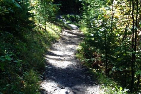 Superior Hiking Trail Minnesota Usa The Touch Of Sound