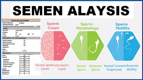 How To Read A Sperm Analysis Report Aarush Ivf Endoscopy Centre