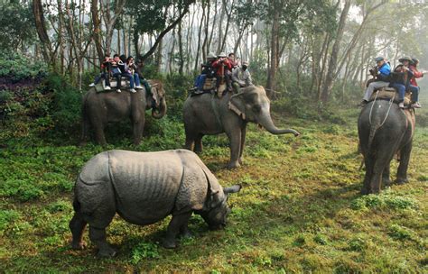 jungle safari in chitwan breakfree adventures