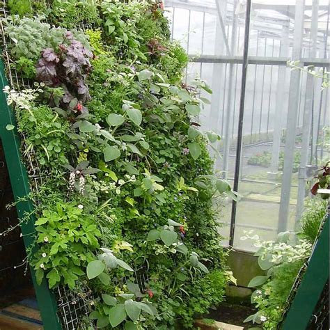 Vertical Gardening In Greenhouses Greenhouse Info