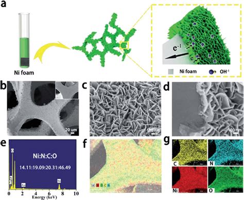 Synthesis Sem Eds And Mapping Of A Nioh 2 Nanosheets A Sketch