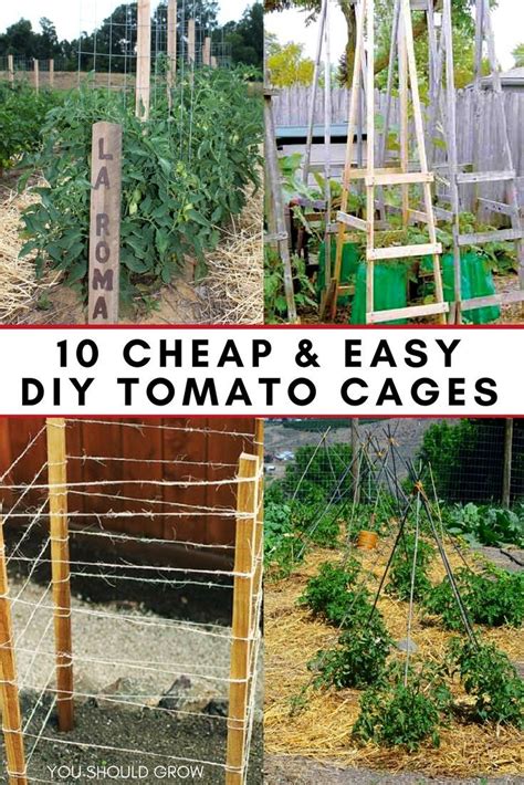 10 Ideas For Homemade Tomato Cages Cheap And Easy Tomato Plants