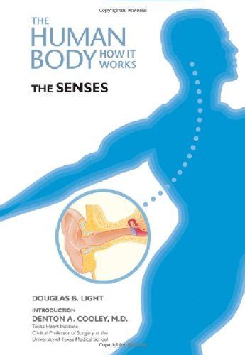 The Senses Human Body How It Works Ebook Light Douglas B Cooley