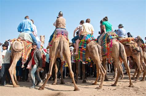 La Feria Del Camello De Pushkar India