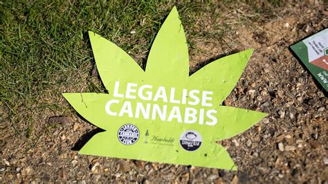 die weltweite cannabis legalisierung ist gerade ein stück näher gerückt