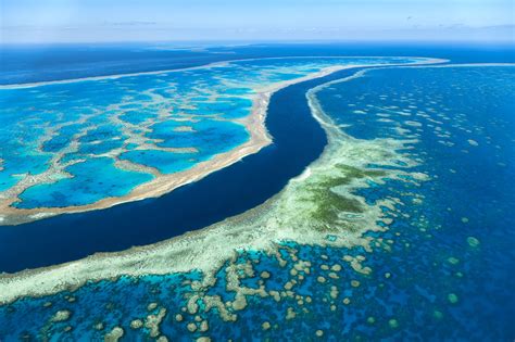 aerial view of the great barrier reef a unique coral formation queensland austr… great