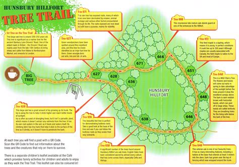 Why Not Try Our Tree Trail ~ Its Available All Day Every Day For