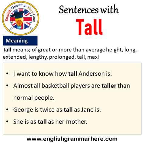 Sentences With Tall Tall In A Sentence And Meaning English Grammar Here