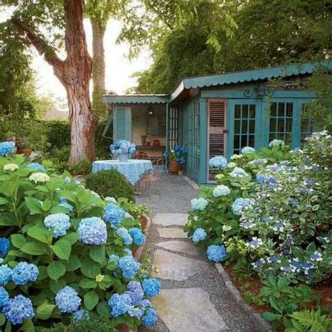 Backyard Cottage Hydrangea Tree Hydrangea Shrub Hydrangea Bloom