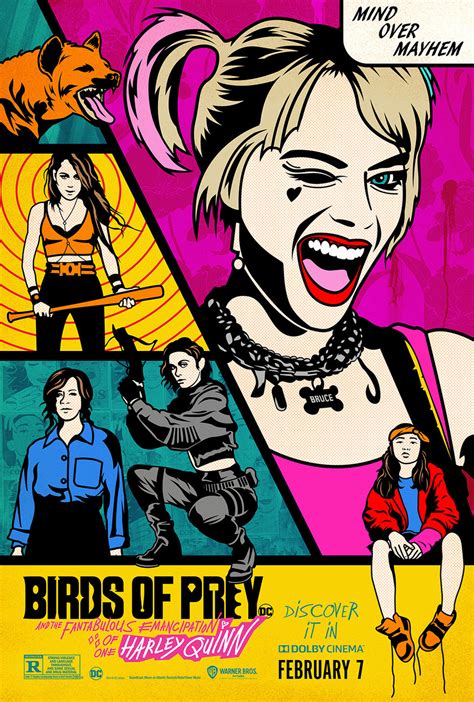 Of course, some lucky people will have already caught the film as it premiered at the venice il festival on august 31, before it played the. Birds of Prey DVD Release Date | Redbox, Netflix, iTunes ...