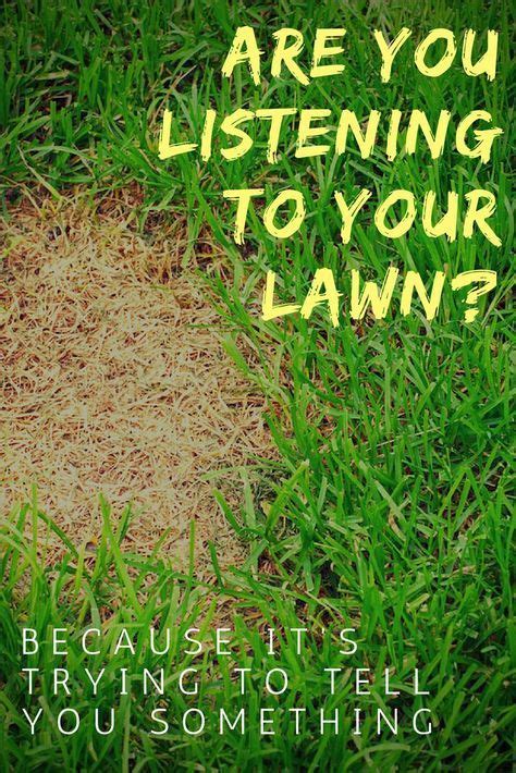 7 Things Your Lawn May Be Trying To Tell You Lawn Care Lawn Problems