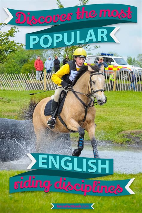 The 15 Most Popular English Riding Disciplines