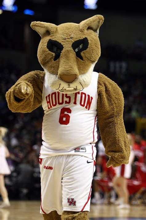 Cougars College Mascot