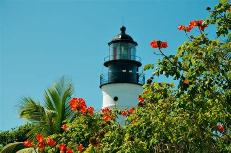 Top 8 The Best Things To Do In Key West Florida Trekbible