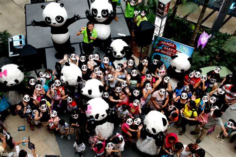 Panda Monium Singapore News Asiaone