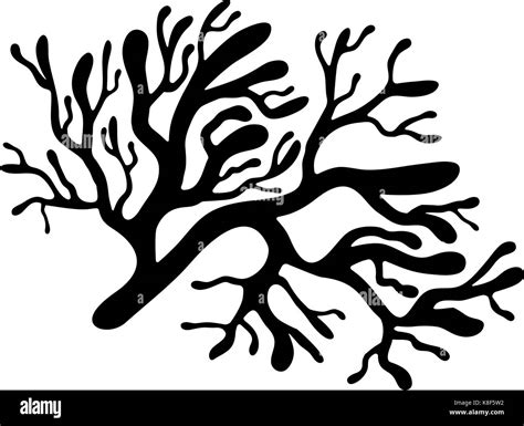 Red Algae Silhouette Vector Symbol Icon Design Beautiful Illustration