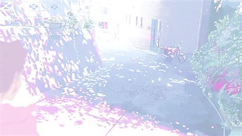 Animated  About Pink In Pastelaesthetic By Fandom