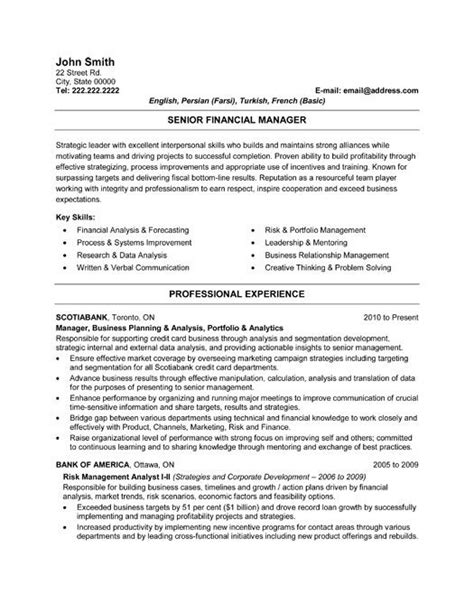 Click Here To Download This Senior Financial Manager Resume Template