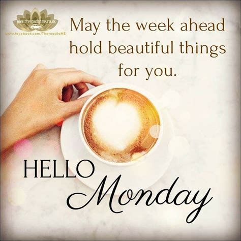 Hello Monday May The Week Ahead Hold Beautiful Things For You Monday