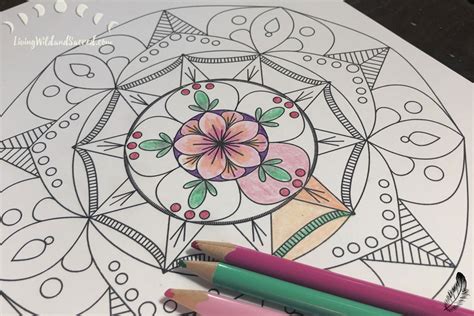 mandala coloring pages living wild  sacred