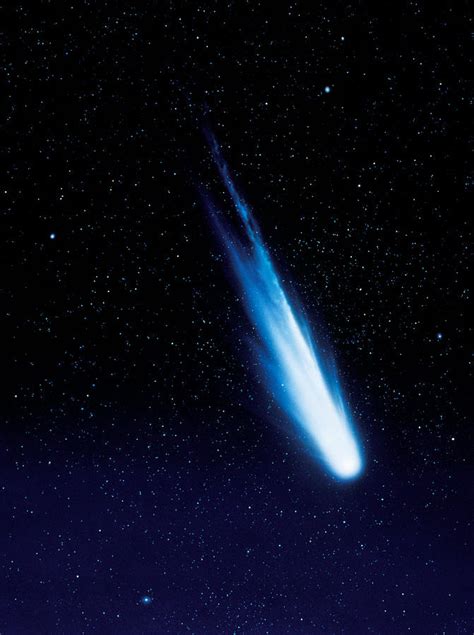 Halleys Comet Photograph By Detlev Van Ravenswaay Fine Art America