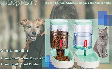 Top 10 Best Automatic Pet Food Dispenser Decisiondesk