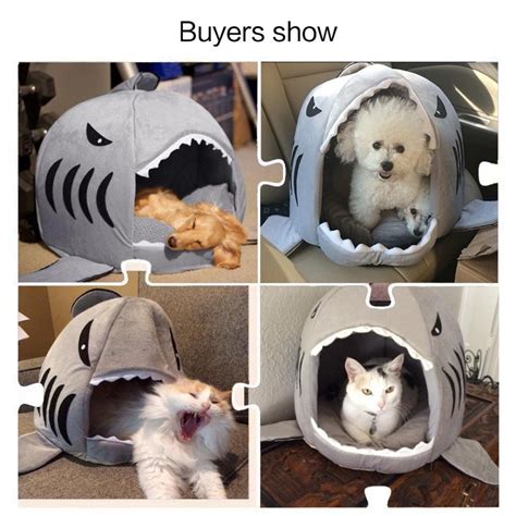 Shubuy Shark Bed For Small Cat Dog Cave Bed Tent Bed For Pets Shark Pet