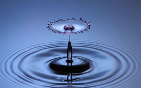 Free Download Water Drop Hd Wallpapers 2560x1600 For Your Desktop Mobile And Tablet Explore