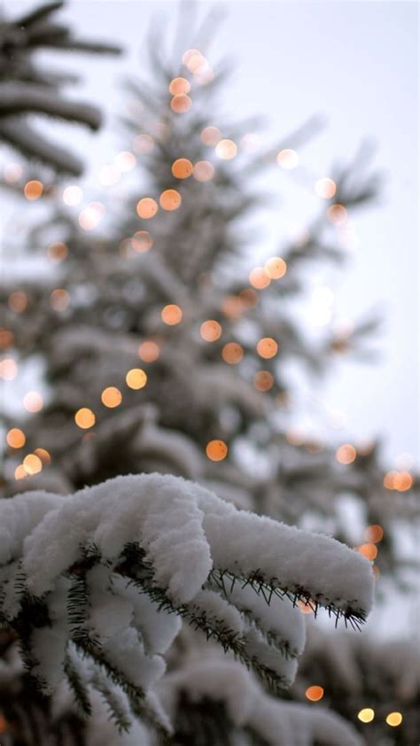 Пин от пользователя brianna ♡ на доске photography Картинки снега Рождественские обои