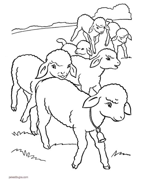 Tenemos los ♥ dibujos de ovejas ♥ mas lindos con tutoriales⭐ faciles y plantillas ⭐gratis para que las ⭐ imprimas y dibujes Dibujos de ovejas para colorear