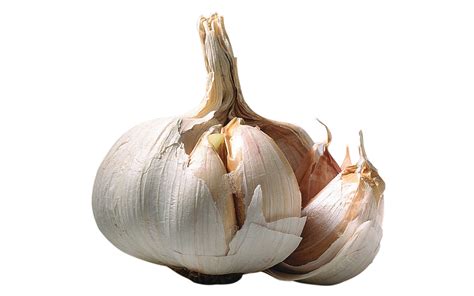 Using Garlic Or Taking Garlic Pills Benefits