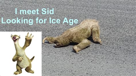 I Meet Sid Looking For Ice Age Sloth Youtube