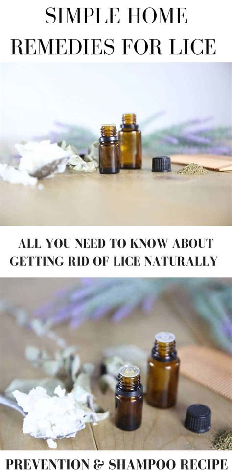Simple Home Remedy For Head Lice Essential Oils For Preventing Lice