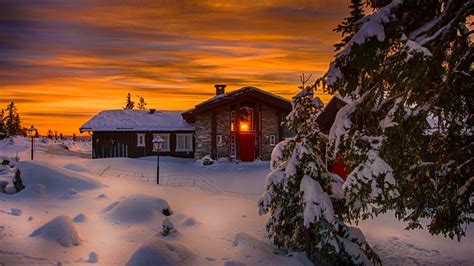 Wallpaper Winter Snow Cold Night House Lights Trees
