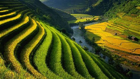 25 Bức ảnh Về Việt Nam đẹp Khiến Bạn Phải Thốt Lên Đất Nước Mình đẹp