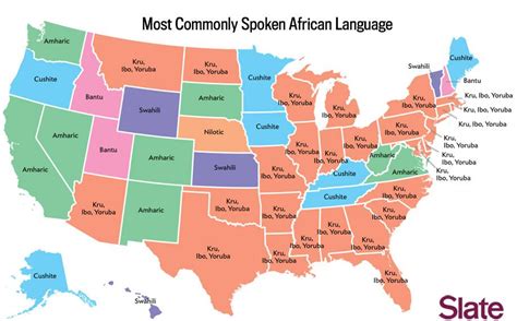 Language Map Whats The Most Popular Language In Your State
