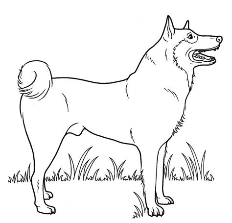 Sketsa Gambar Anjing Kartun Hitam Putih Kaata