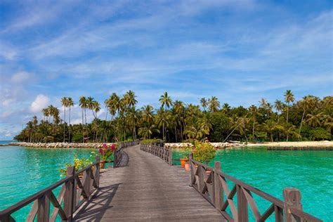 Mabul island is a popular place to stay for travelers that plan to dive at one of the worlds' best dive spots; Mabul Island - MABUL.COM