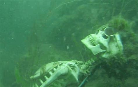 Video Sheriff Finds Underwater Skeleton Weekend At Bernies Party