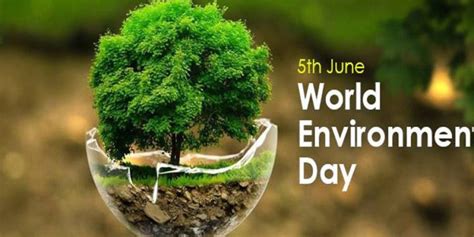 St Kitts And Nevis Observes World Environment Day Under The