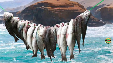 Así Pescamos A Los Peces Del Mar Así Se Pesca En Las Playas De Perú