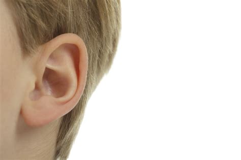 Glue Ear All Your Questions Answered Theschoolrun