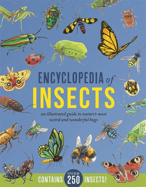 Encyclopedia Of Insects Cheekwood