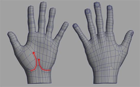 Hand Model 3d Topology Human Topology